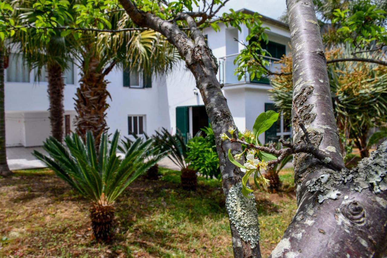 Casa Do Cantinho Do Muro Сан-Висенти Экстерьер фото